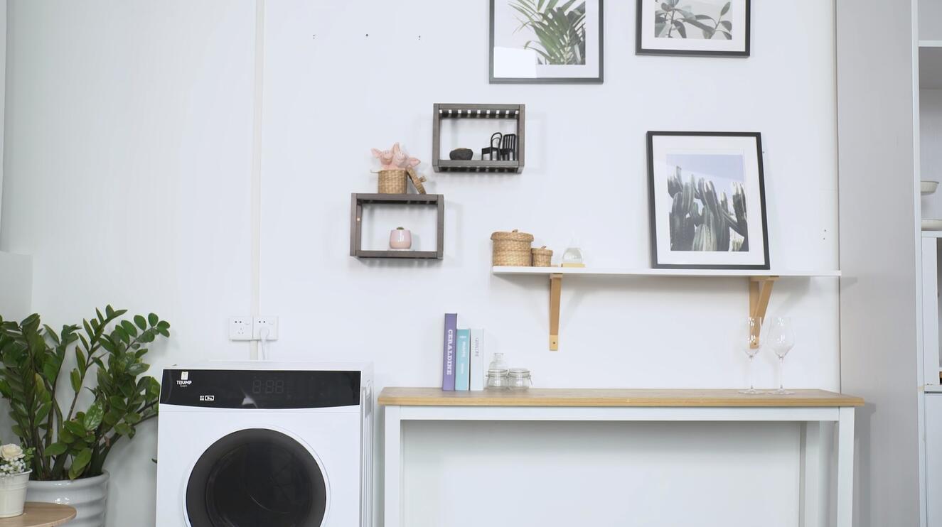 9kg滚筒干衣机(大容量)